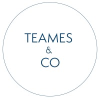 TEAMES & CO logo - Similar company to Qualidgm