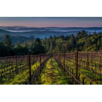 Flanagan Wines logo - Similar company to Elizaldia