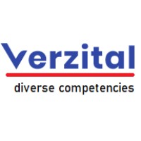 Verzital Consulting logo - Similar company to Invincible It Services