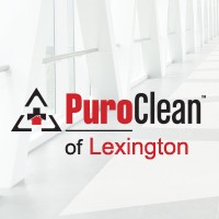 PuroClean of Lexington logo - Similar company to Cleanspace