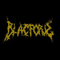 Blacforje Magazine logo - Similar company to Newswise
