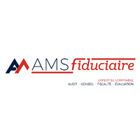 AMS FIDUCIAIRE logo - Similar company to Uniteam Teambuilding Nice