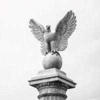 LVC Global Holdings logo - Similar company to Graphclic Group