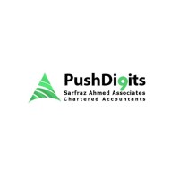 Push Digits Pakistan logo - Similar company to Push Digits Chartered Accountants