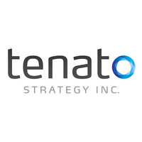 Tenato Strategy Inc. logo - Similar company to Create That | Ct Insights