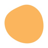 Saul's Light Foundation logo - Similar company to Achieve More Llc - Coach. Plan. Train. Consult. Solutions In Deia+A, Leadership, & Well-Being.