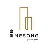MESONG logo - Similar company to Wonder Development