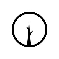 Palosanto Studio