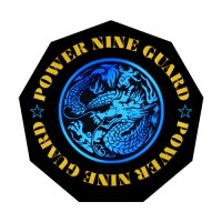 PT. Sembilan Naga Global logo - Similar company to Maju Jaya