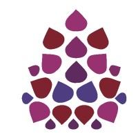 Fundación Esplai - Ciudadanía Comprometida logo - Similar company to Panoram4 Smart Services