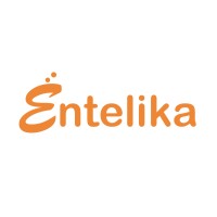 Entelika Consulting and IT Services logo - Similar company to Teiro™