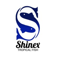 Shinex Tropical Fish logo - Similar company to Haritha Fish Farm