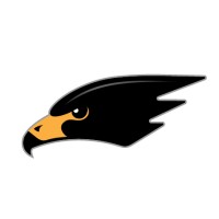Blackhawk Aerospace logo - Similar company to Techdynamics