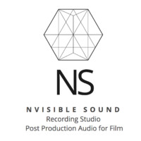 Nvisible Sound logo - Similar company to The Nvisible Agency