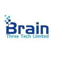 Brain Three Tech logo - Similar company to Flywheel Solutions