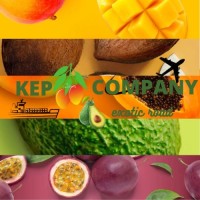 KEP COMPANY logo - Similar company to Jeevamrit Agro Enterprises (Jae)