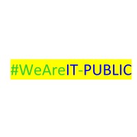 iT-Public LLC logo - Similar company to Advanced It Llc