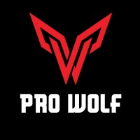 PRO WOLF logo - Similar company to Surmaye