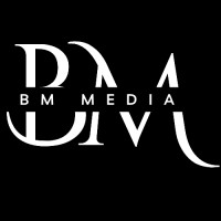 BM MEDYA logo - Similar company to Piitchers