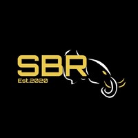 South Bank Racing logo - Similar company to Mallzee Insights