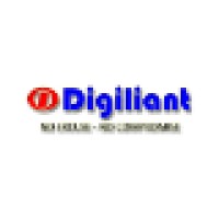 Digiliant logo - Similar company to Digiliant, Llc