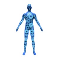 Dynamic Rehabilitation Center logo - Similar company to Soma Physio