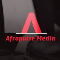 AFROPULSE MEDIA logo - Similar company to Wolfe Code
