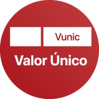 Valor Único logo - Similar company to Technology Solutions Latam