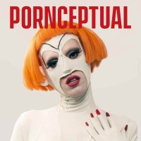 Pornceptual logo - Similar company to Spidertwin Solutions