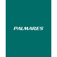 Expresso Palmares logo - Similar company to Viação União Santa Cruz