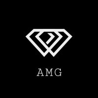 AMG Wealth AG logo - Similar company to Simple Savvy Solutions