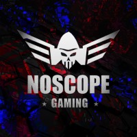 NoScope Gaming logo - Similar company to Veritra, Inc