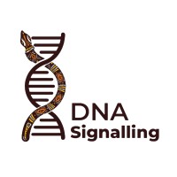 DNA Signalling logo - Similar company to Sigtech Solutions Australia