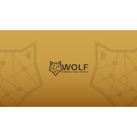 Wolf Consulting Group, LLC (NC) logo - Similar company to Peregrine Advisors