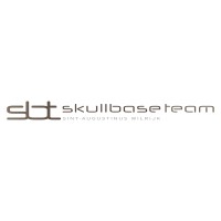 SkullBase Team Antwerp logo - Similar company to Hnonet