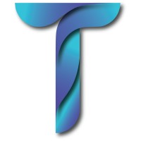 Techsorize Solutions logo - Similar company to Kairosoft Ai Solutions Ltd