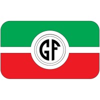 G.F. Gnali Stampi logo - Similar company to New All Plastic