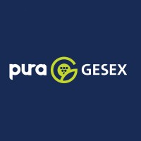 Pura Gesex logo - Similar company to Data Tech Academy