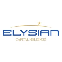 Elysian Capital Holdings logo - Similar company to Taylored Analytics