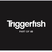 Triggerfish - part of iO logo - Similar company to Sphinxly