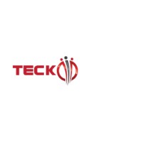 Teck point staffing logo - Similar company to Ipartnerstaffing