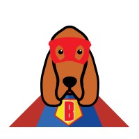 My Vpn Hound