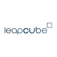 Leap Cube logo - Similar company to Vakt