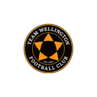 Team Wellington Fc