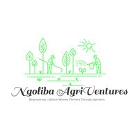 Ngoliba AgriVentures logo - Similar company to Design Thinking Ghana Hub