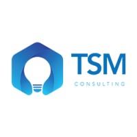 TSM CONSULTING logo - Similar company to Datapro Consulting