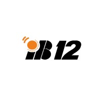 iB12 logo - Similar company to Sublime Tech Soution