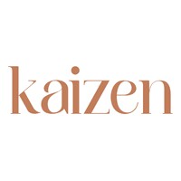kaizen design logo - Similar company to Techsight