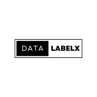 DataLabelX logo - Similar company to Geto