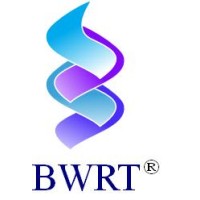 BWRT (Brain Working Recursive Therapy) Switzerland logo - Similar company to Brainworking® Recursive Therapy Sa